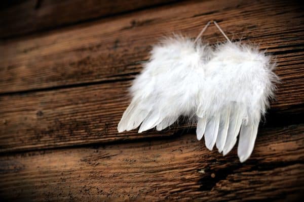 Angel wings on old wood