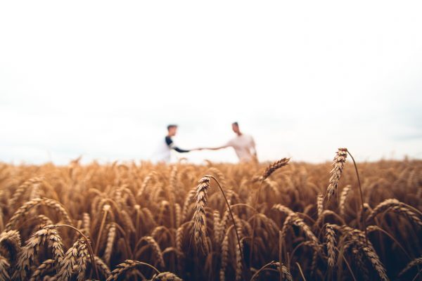 Two men holding hands in a field